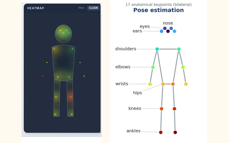 Movement heatmap beside the 17 anatomical keypoint model used for pose estimation.